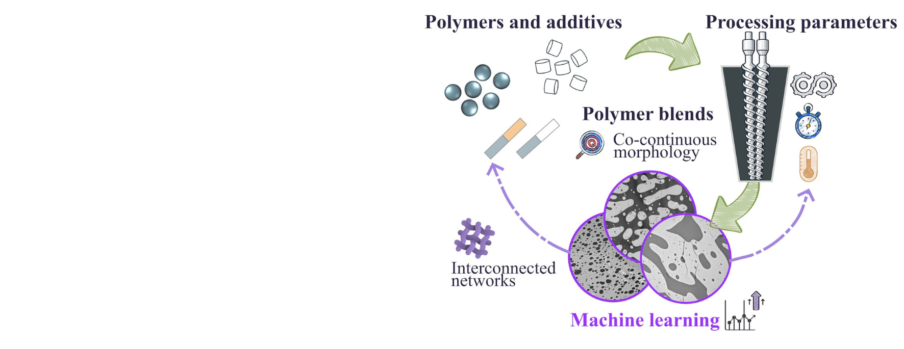 Polymer Engineering and Science